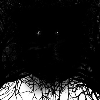 Логотип телеграм канала @mirkovladi — Мирко Влади