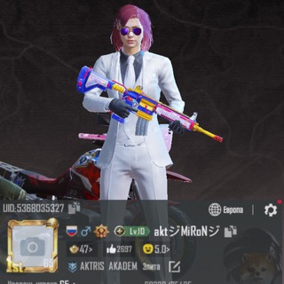Telegram channel MironPubg logo