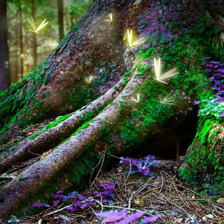 Telegram channel Erdenpfad~ wir sind Natur logo