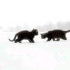 Логотип телеграм канала @miserable_ryu — Miserable.