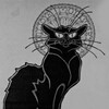 Логотип телеграм канала @mishamirn — Le Chat Noir