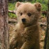 Логотип телеграм канала @mishap_delaet — Мани❤️‍🔥от мишани