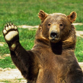 Логотип телеграм канала @mishkivinternete — Мишки в интернете