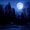 Логотип телеграм канала @misntrprhd — ᚹᛊᚱᛊꃅᛟᚦᚻᚽᛕ