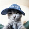 Логотип телеграм канала @misootaa — мисута