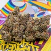 Logo of telegram channel mississippiplugonpacks_0 — Mississippi Plug on Packs 420🍁