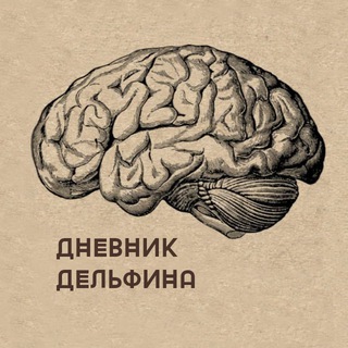 Логотип телеграм канала @misterdolphinnotes — Дневник Mr. 🐬