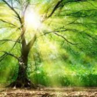 Logo des Telegrammkanals mit_herz_und_seele - mit HERZ und SEELE