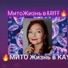 Telegram channel МИТО ЖИЗНЬ☀ В KAYFF logo