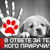 Логотип телеграм канала @mivotvete — Mi v otvete