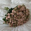Логотип телеграм канала @miwelri — ~miwel.ri🪽👼🏻🌙