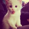 Логотип телеграм канала @mixxaskhh — алилуя