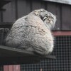 Логотип телеграм канала @mk_producer — А вы точно продюсер?
