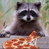 Логотип телеграм канала @mllloop0 — Угарный енот