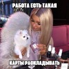 Логотип телеграм канала @mlmlklso — MMSN