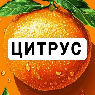 Логотип телеграм канала @mlt_technika — ЦИТРУС Сеть магазинов бытовой техники