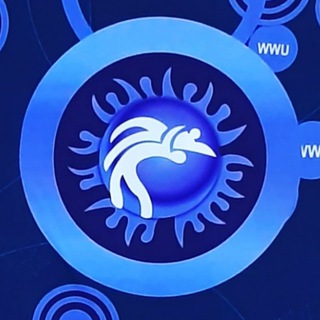 Logo del canale telegramma mma_ufc_futbolka - Goldprint.uz