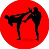 Логотип телеграм канала @mmaafc — ДНЕВНИК БОЙЦА