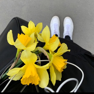 Логотип телеграм канала @mmlwam — mmlwam