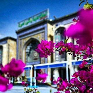 لوگوی کانال تلگرام mmmmahdi313 — رَبٰٰـيٰۦ‏ڪنْ مـۤعـيِٰ ⁞ ✿