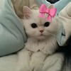 Логотип телеграм канала @mnenravxxp — Мне нравится