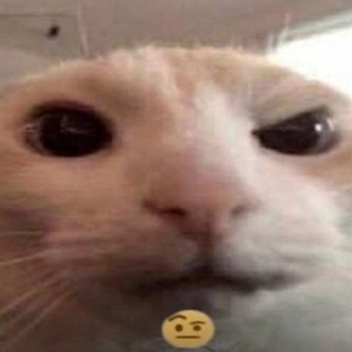 Логотип телеграм канала @mnogo_shutok — МЕМЫ