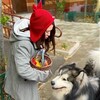 Логотип телеграм канала @mnogomutmanny — Многомут и все-все-все