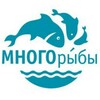 Логотип телеграм канала @mnogoriba — МНОГОрыбы