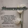 Логотип телеграм канала @mnogozhenstvo — ･︎･︎ Многоженство ･︎･︎
