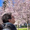 Логотип телеграм канала @mnv_msu — НВ пишет