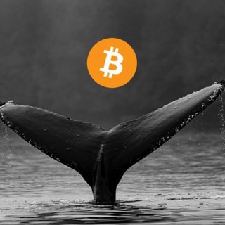 Logo of telegram channel mobydick_crypto — Mobydick | Whale Trades, Liquidations & Crypto Futures Signals