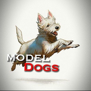 Логотип телеграм канала @model_dogs_channel — 𝚖𝚘𝚍𝚎𝚕 𝚍𝚘𝚐𝚜💁🏻ʰᵒᵘˢᵉ