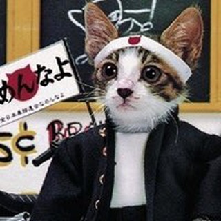 Логотип телеграм канала @modern_ecstasy — modern ecstasy 🎡