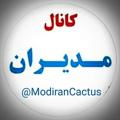 لوگوی کانال تلگرام modirancactus — کانال مدیران کاکتوس🌵