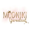 Логотип телеграм канала @modniki_yaroslavl_sale — МОДНИКИ SALE