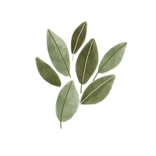 Логотип телеграм канала @modusvive — Модус Вивенди