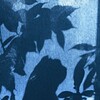 Логотип телеграм канала @mogilnikpltn — МОГИЛЬНЫЙ ПЛАТОН