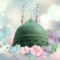 لوگوی کانال تلگرام moha7979 — قناة شَذَرات مُحمديه للمحاضرات