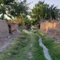 لوگوی کانال تلگرام mohammadabadiha — محمدآبادی ها