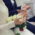 لوگوی کانال تلگرام mohsen33a — ♥پشتو سندری عشقی❤️