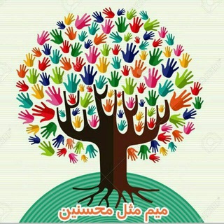 لوگوی کانال تلگرام mohseninmashhadrizeh — محسنین