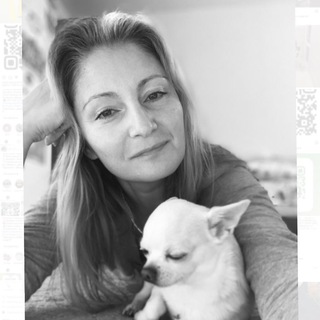 Логотип телеграм канала @moi_chihuahua — Мои Чихуахуа❤️