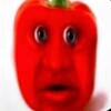 Логотип телеграм канала @mol4asport — 🫑Mol4un🌶
