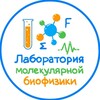 Логотип телеграм канала @mol_biophys — Лаборатория молекулярной биофизики | ГНЦ ИБХ РАН