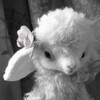 Logo of telegram channel moldylamb — 𝑵𝒂𝒓𝒄𝒊𝒔𝒔𝒊𝒔𝒕𝒊𝒄 𝒉𝒆𝒍𝒍 ۶ৎ