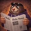 Логотип телеграм канала @moleholenews — MoleHole VPN | Новости | News