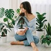 Логотип телеграм канала @mollysgreenspace — Мир Молли Грин