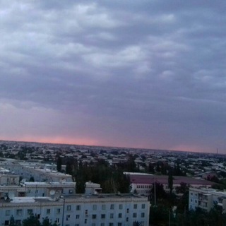 Логотип телеграм канала @molod_i_glup — На память