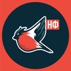 Логотип телеграм канала @molodezhkanf_melitopol — Молодёжка Народного Фронта - Запорожская область