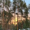 Логотип телеграм канала @molodezhniy2 — 2 смена Молодёжный 25.06-12.07